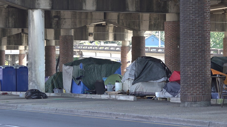 A homeless encampment sits underneath a bridge with a community of tents.