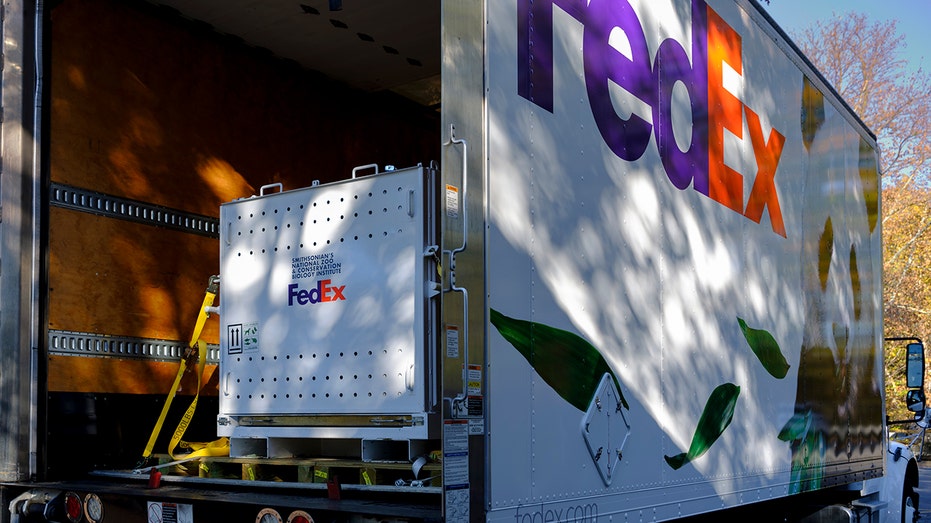 FedEx truck with panda