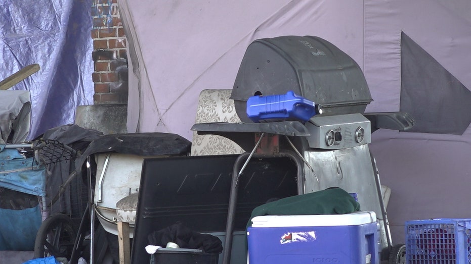 Multiple items are shown sitting outside in a homeless encampment below a bridge