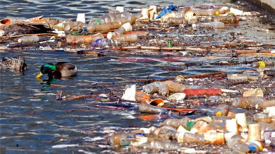 Buffalo River laden with trash