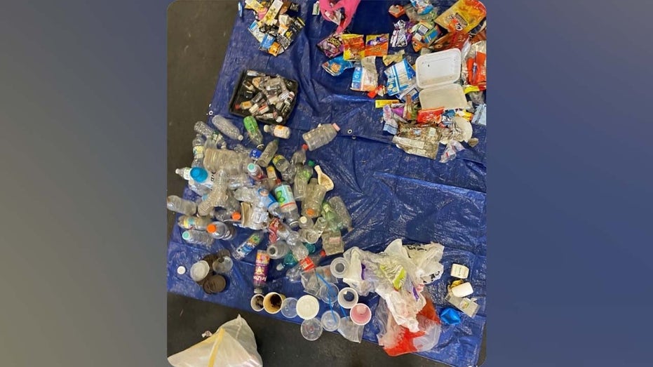 Plastics pulled from the Buffalo River