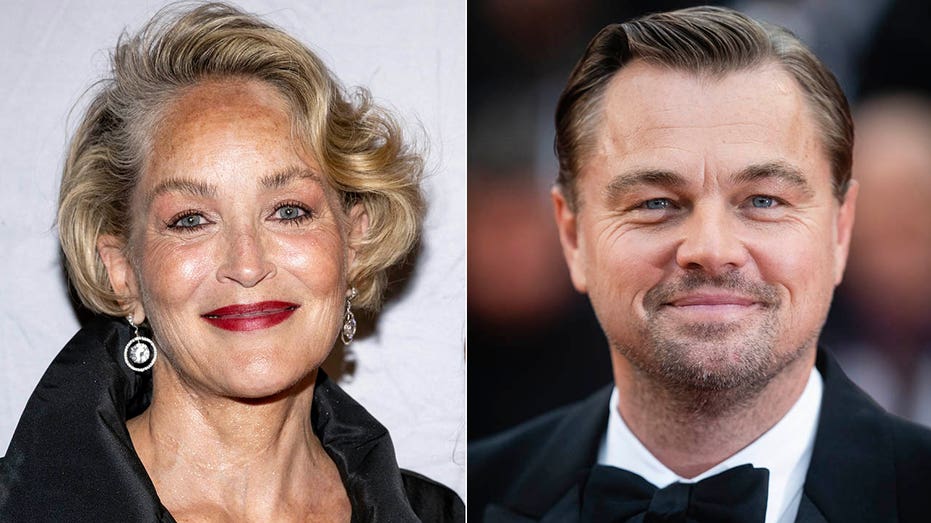 sharon stone leonardo dicaprio