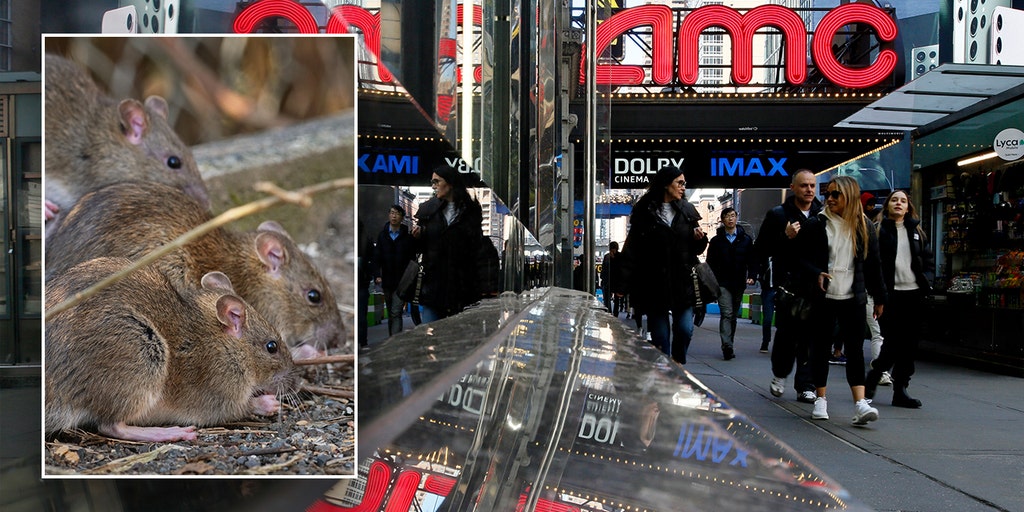 NYC movie attendees scatter after spotting city rats prowling theater: 'Really gross' - Vimarsana News