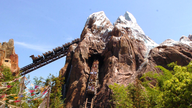 Disney World guests stuck on steep incline aboard Expedition Everest coaster for 30 minutes: report