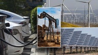 Top power grid watchdog warns fossil fuel shutdowns could destabilize future reliability