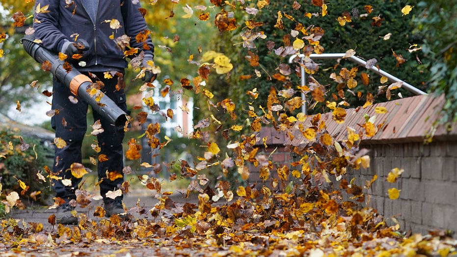 Leaf blower sidewalk