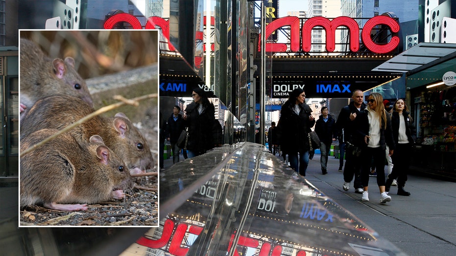 Rats Are Overrunning Cities