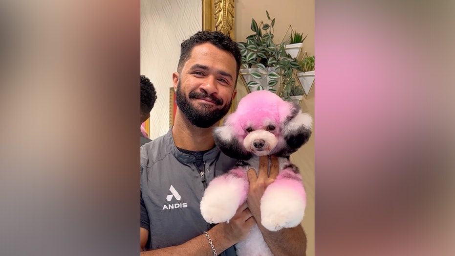Gabriel Feitosa with a dog he has transformed at his grooming boutique