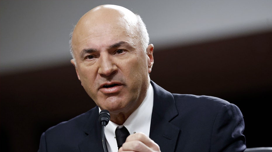 Kevin O'Leary on Biden student debt