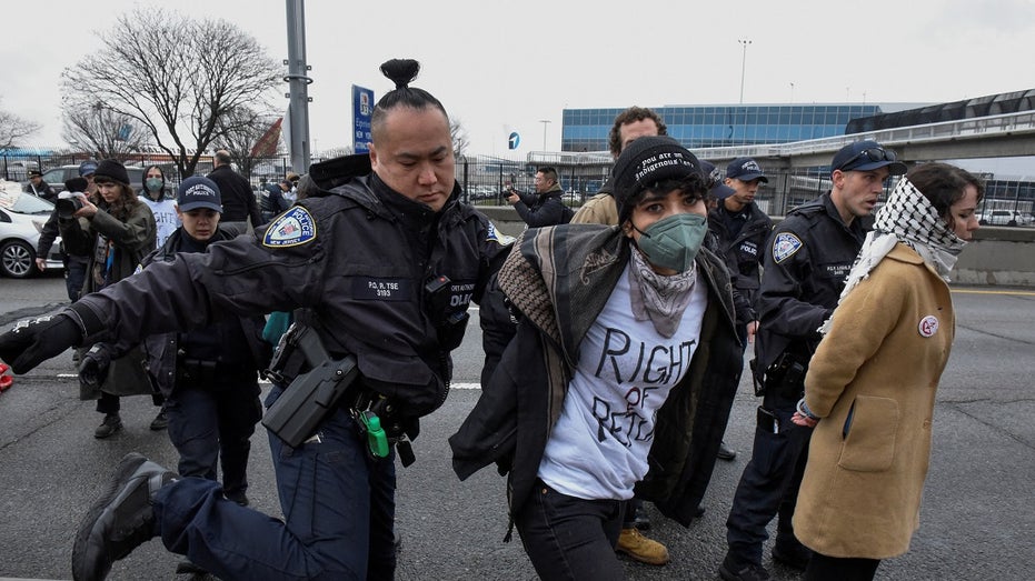 A pro-Palestine protester arrested in New York