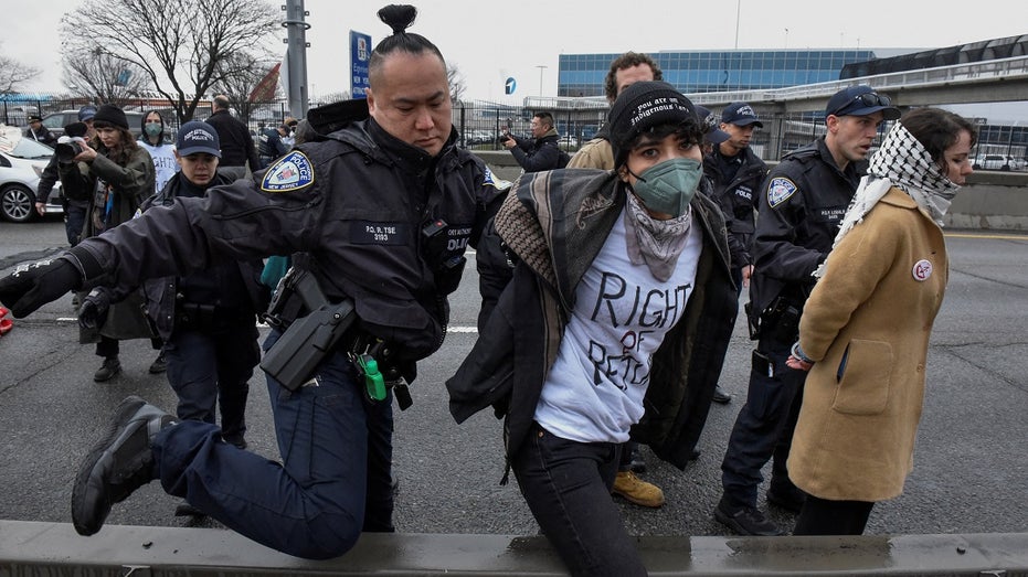 A pro-Palestine protester arrested in New York