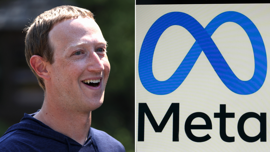 Meta Warns Investors Mark Zuckerberg's MMA Passion Could Impact ...