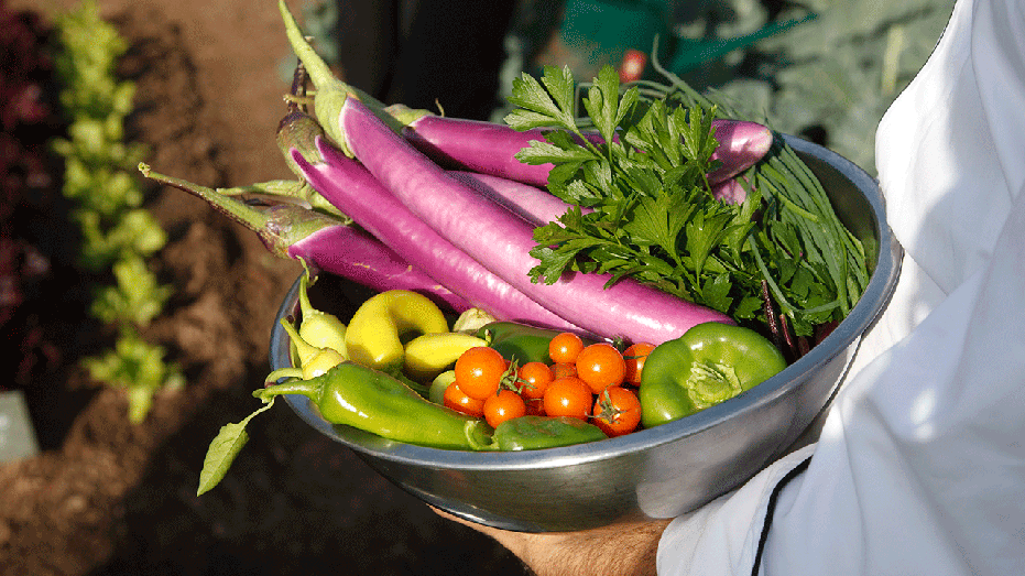 Bowl of vegetables from the garden