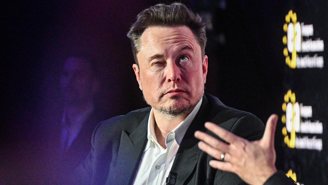 Longtime Tesla shareholder calls Elon Musk the most ‘delusional’ CEO he ...