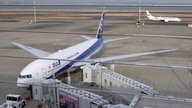 Japan ANA plane turns around mid-flight after American passenger bites attendant: report