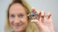 Woman buys unusual brooch for $25 in 1988, may sell it at auction for $16,000