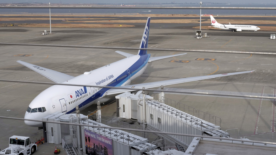 ANA passenger plane in Tokyo, Japan