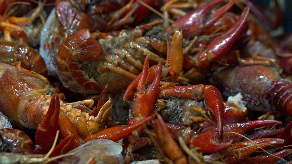 Frozen crawfish