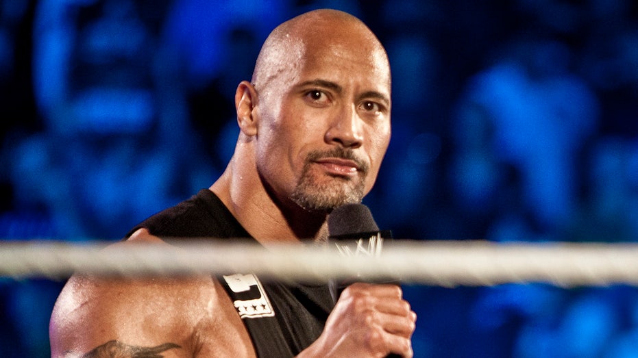 The Rock in 2012