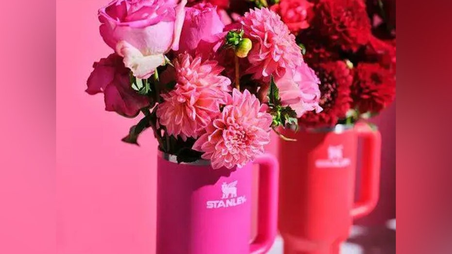 Get Yours Now: Target's Latest Stanley Tumblers in Valentine's Day Hues  Starting at $15!