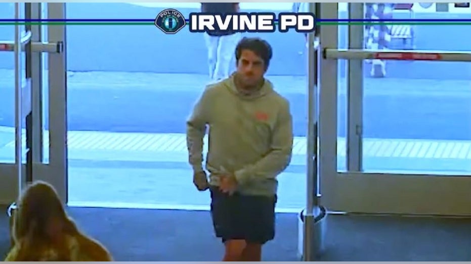 Alleged serial Target thief