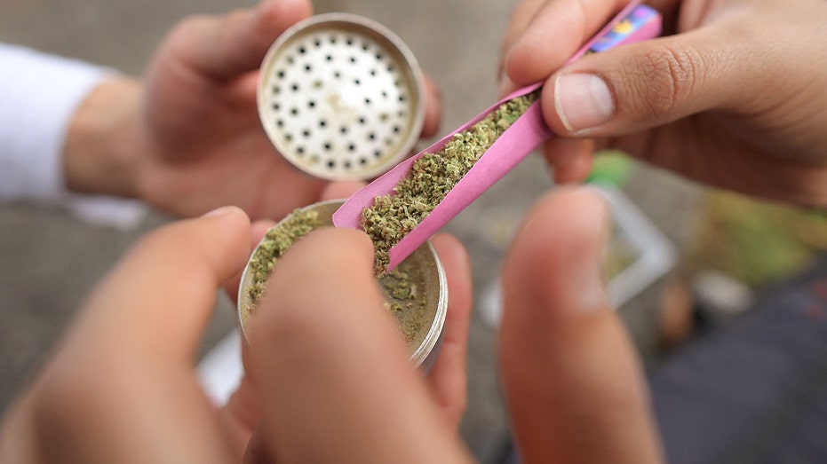 Pink marijuana joint being rolled