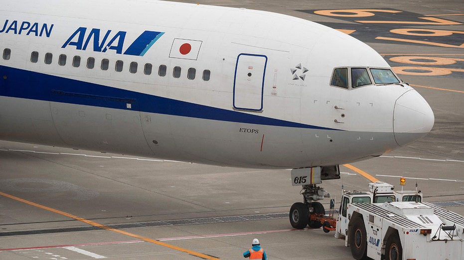 Boeing 737 operated by All Nippon Airways