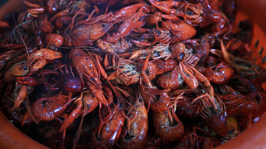 Bevi crawfish