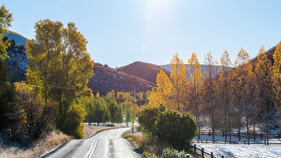 Yellow foliage in Woody Creek