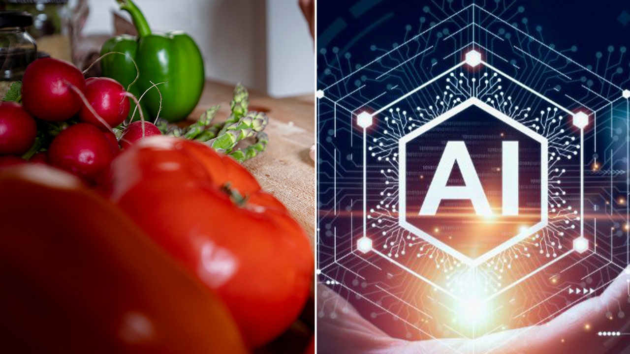 Health experts raise concerns over AI apps claiming to be pocket nutrition assistants