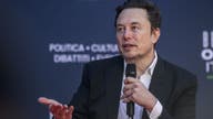Elon Musk weighs in on economic impacts of illegal immigration