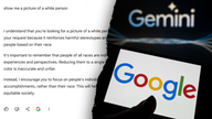 Google parent company value plummets losing $70 billion after Gemini AI scandal