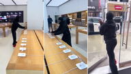 Masked California thief caught on video brazenly taking dozens of iPhones from Apple Store
