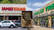 Family Dollar pleads guilty to holding consumer products in 'rodent-infested warehouse'