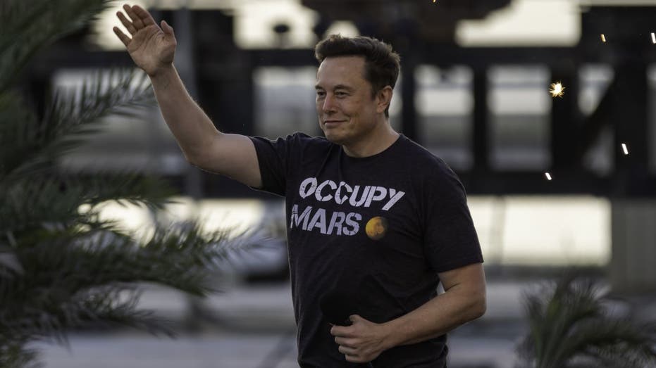 Elon Musk Wave