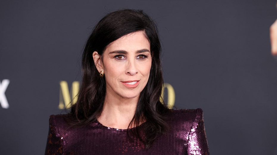 CLose up of Sarah Silverman
