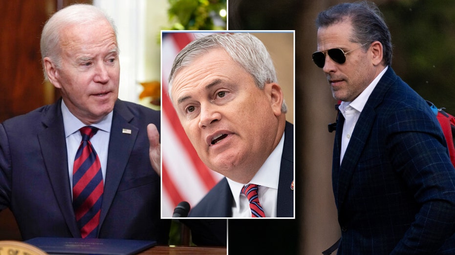 James Comer on Biden family