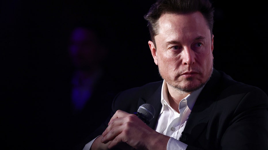 A photograph of Tesla CEO Elon Musk.