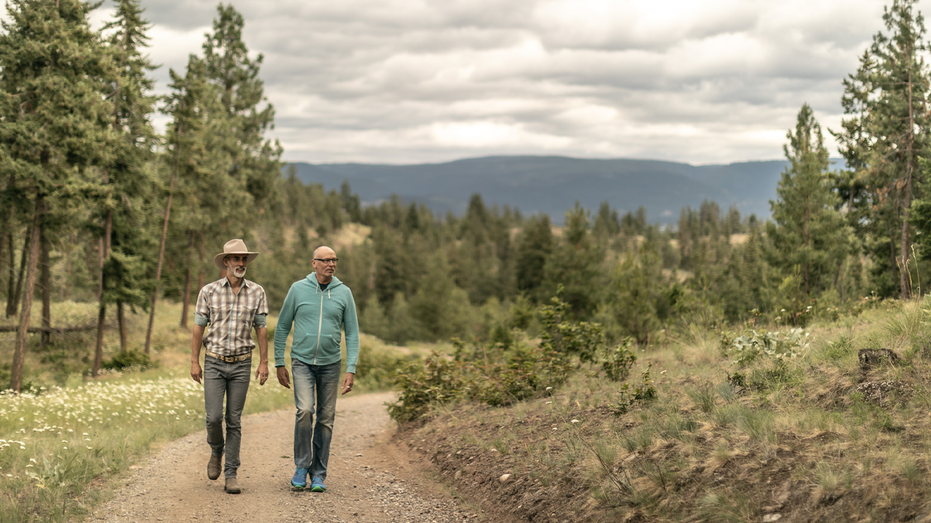 Journeymen luxury mushroom retreat hike