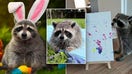 Louie was rescued when he was a baby and has never lived in the wild. He and his raccoon sister Lucy paint pictures, which are then sold to raise money for a wildlife rehabilitation center. 