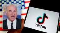 Kevin O'Leary offers to buy TikTok and turn it into a 'new American company' if proposed ban advances