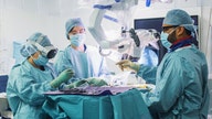 Apple Vision Pro headset becomes tool in operating room