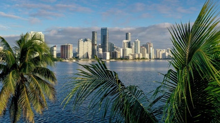 Aerial view of palm trees framing the city skyline on October 27, 2021, in Miami, Florida. 