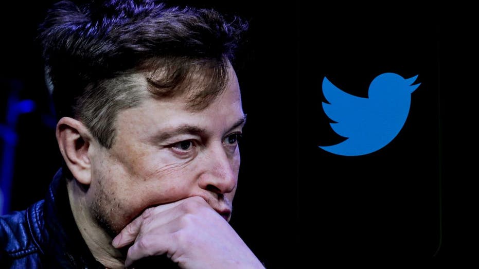 Elon Musk Twitter Bird Logo