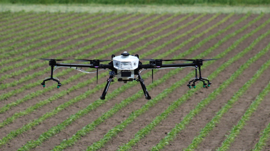 A Hylio drone flies over rows of crops