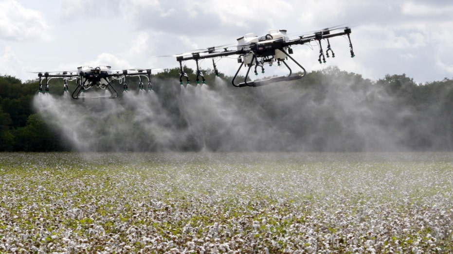 Hylio drones spraying chemicals over a field of crops