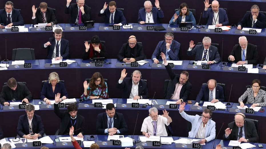 European parliament members voting
