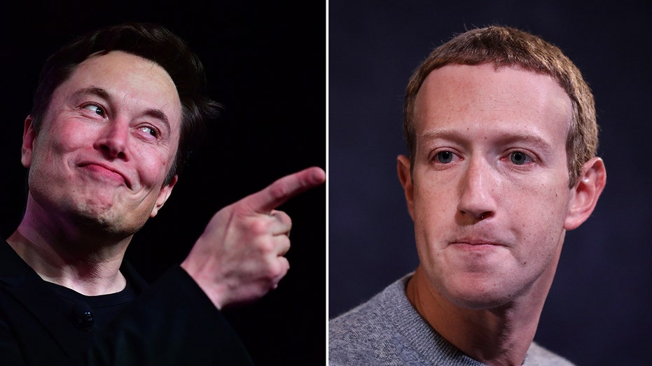 Musk and Zuckerberg split images