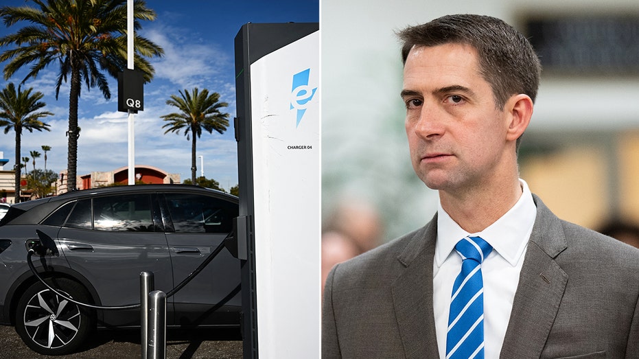 Cotton and EV chargers split image
