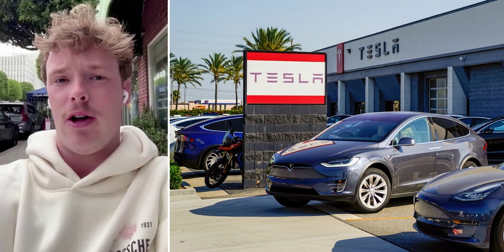 TikTok star deserted by Tesla unveils 'root of the problem' with EVs - Vimarsana News